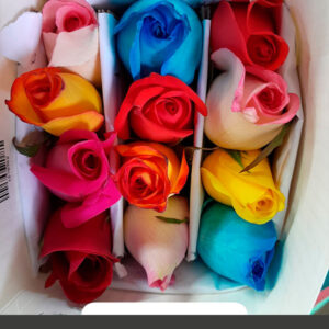 Rosas Surtidas