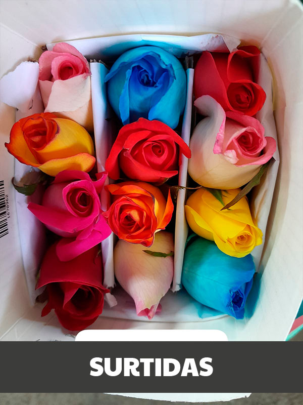 Rosas Surtidas